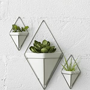Umbra Trigg Geometric Wall Planter product view